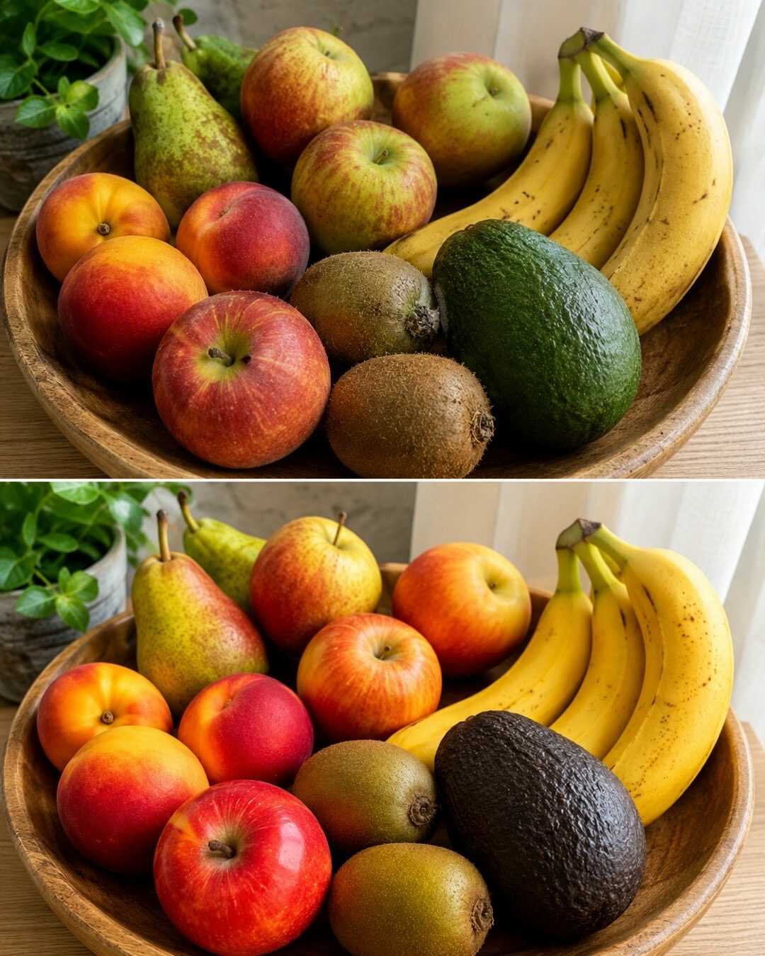 🍉 Les fruits qui continuent de mûrir après la récolte