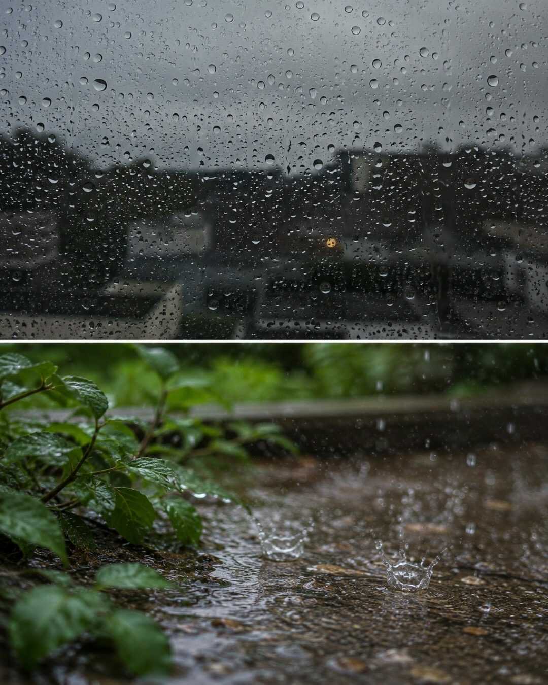 🌧️ Pourquoi l&rsquo;odeur de la pluie est si agréable