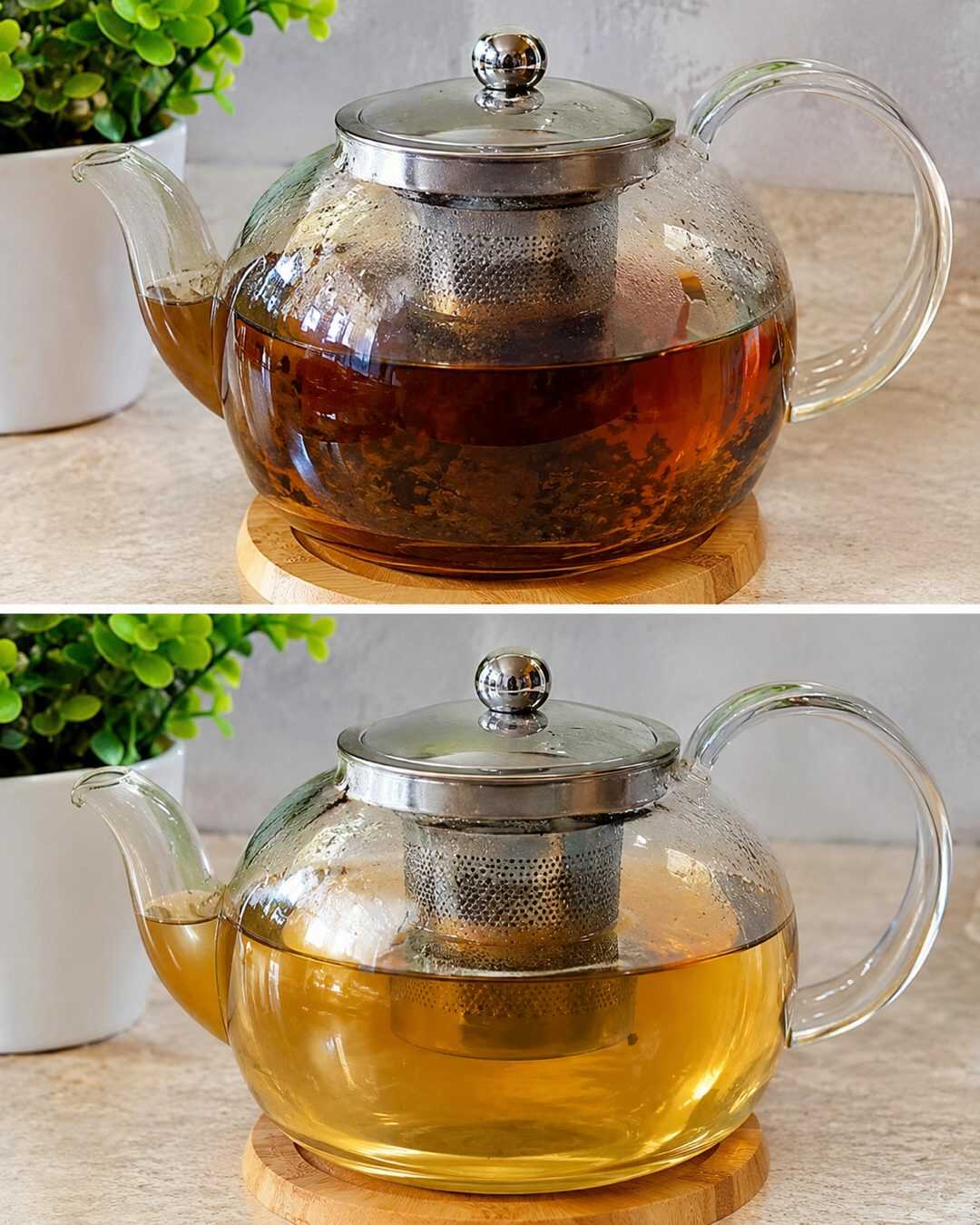 Faut-il faire bouillir ou infuser vos plantes ? Beaucoup de gens se trompent sans le savoir !