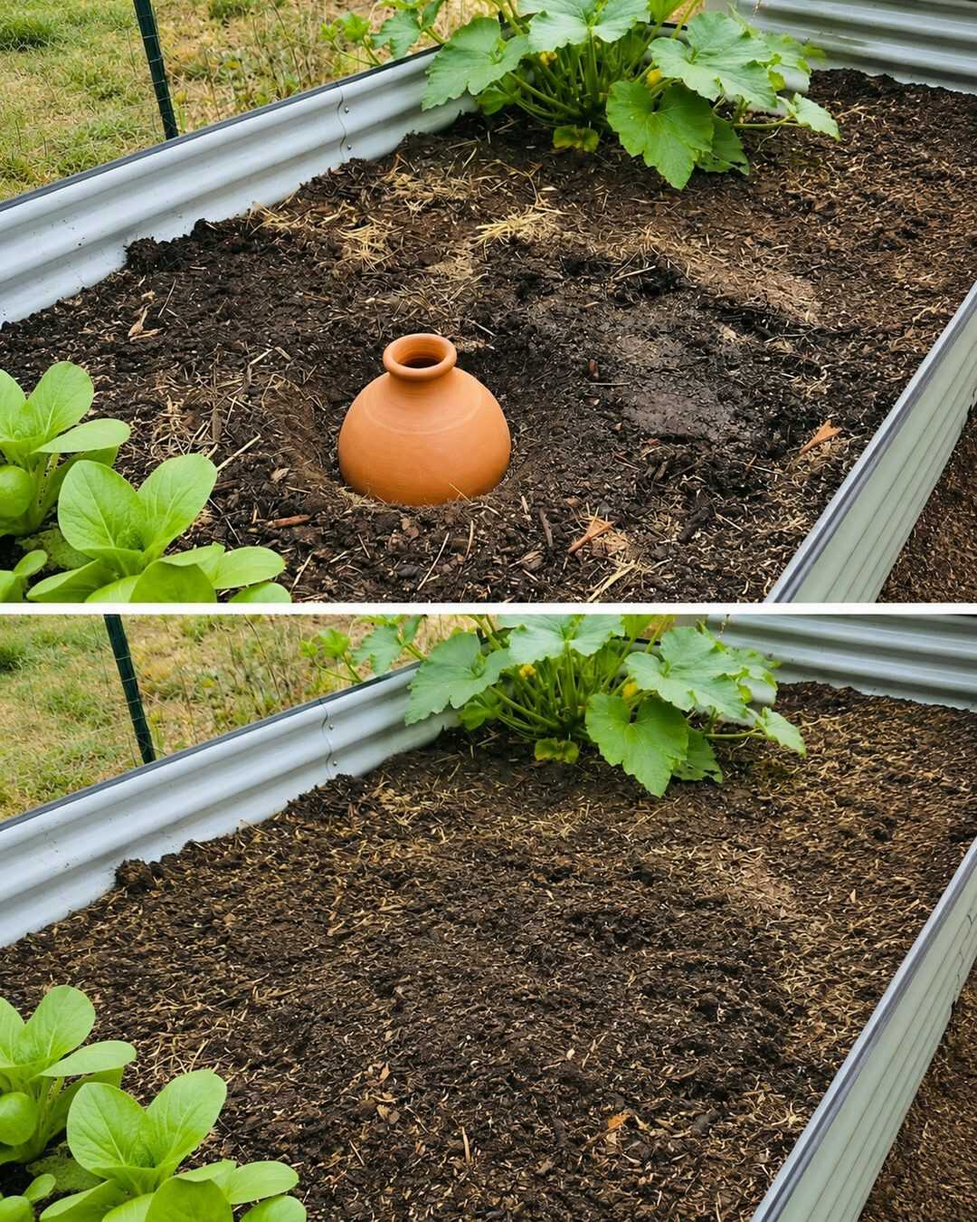 Enterrez ce pot en terre cuite dans votre jardin : vos plantes vont adorer