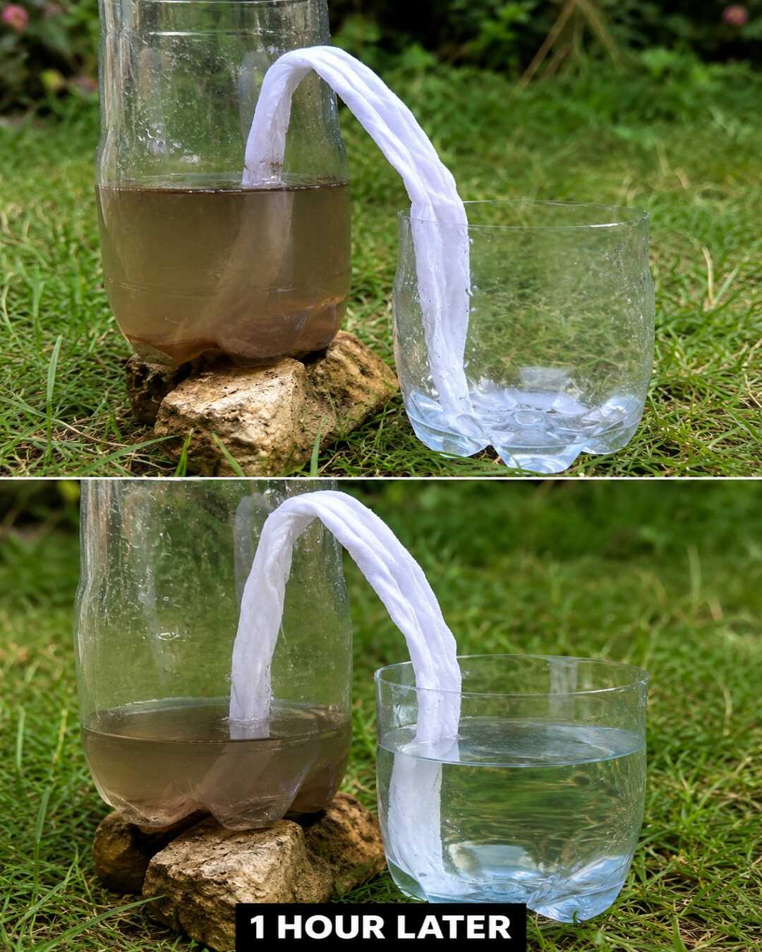 Cette astuce pour déplacer de l’eau sans pompe ressemble presque à de la magie