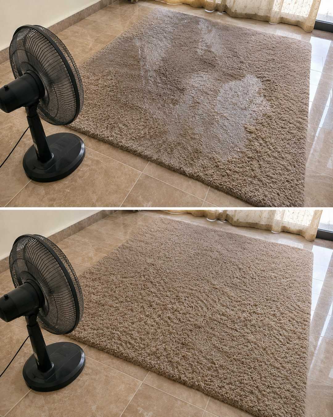 Tapis mouillé : l’astuce du ventilateur pour accélérer le séchage et éviter les mauvaises odeurs